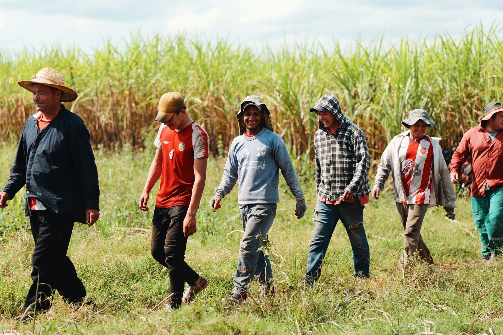 Harvest crew walking toward the camera, Paraguay
