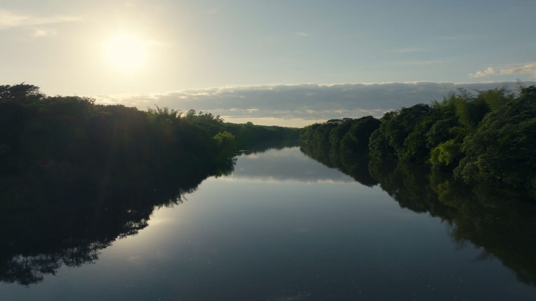 River and forest at golden hour